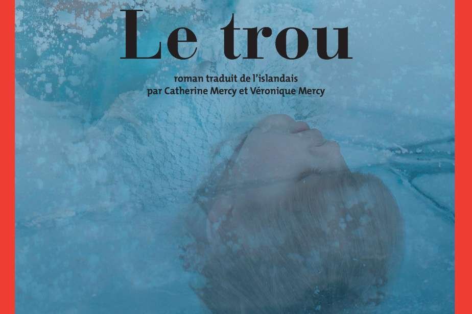 Le trou | Dans les arcanes de la société islandaise ★★★½