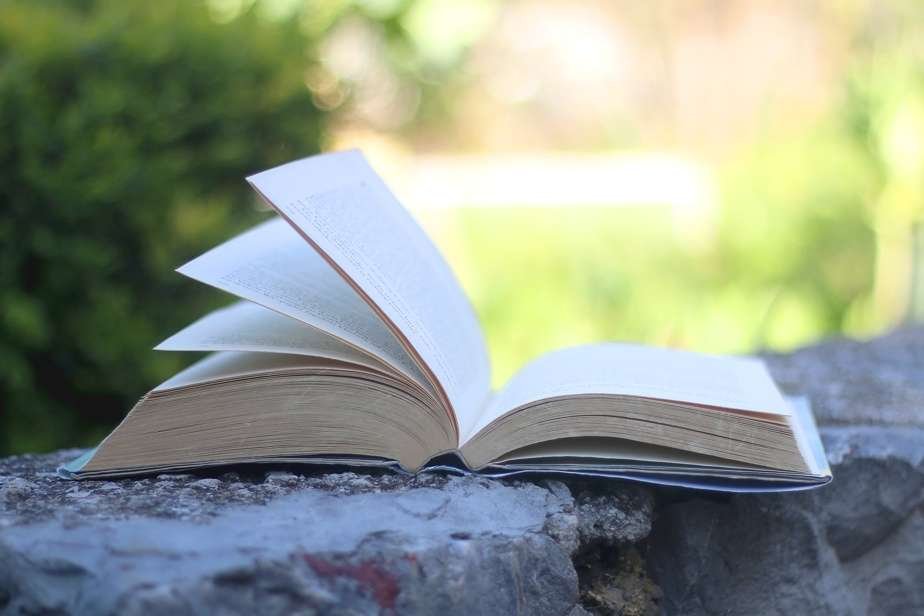 Lectures d’été | Que liront nos chroniqueurs ?