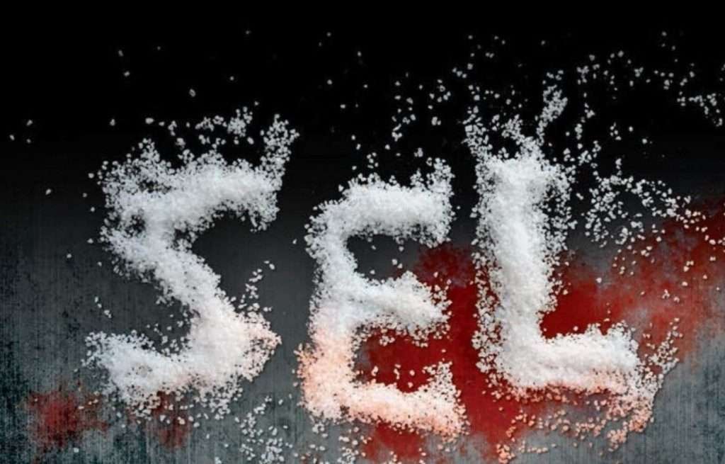 «Sel», Jussi Adler-Olsen