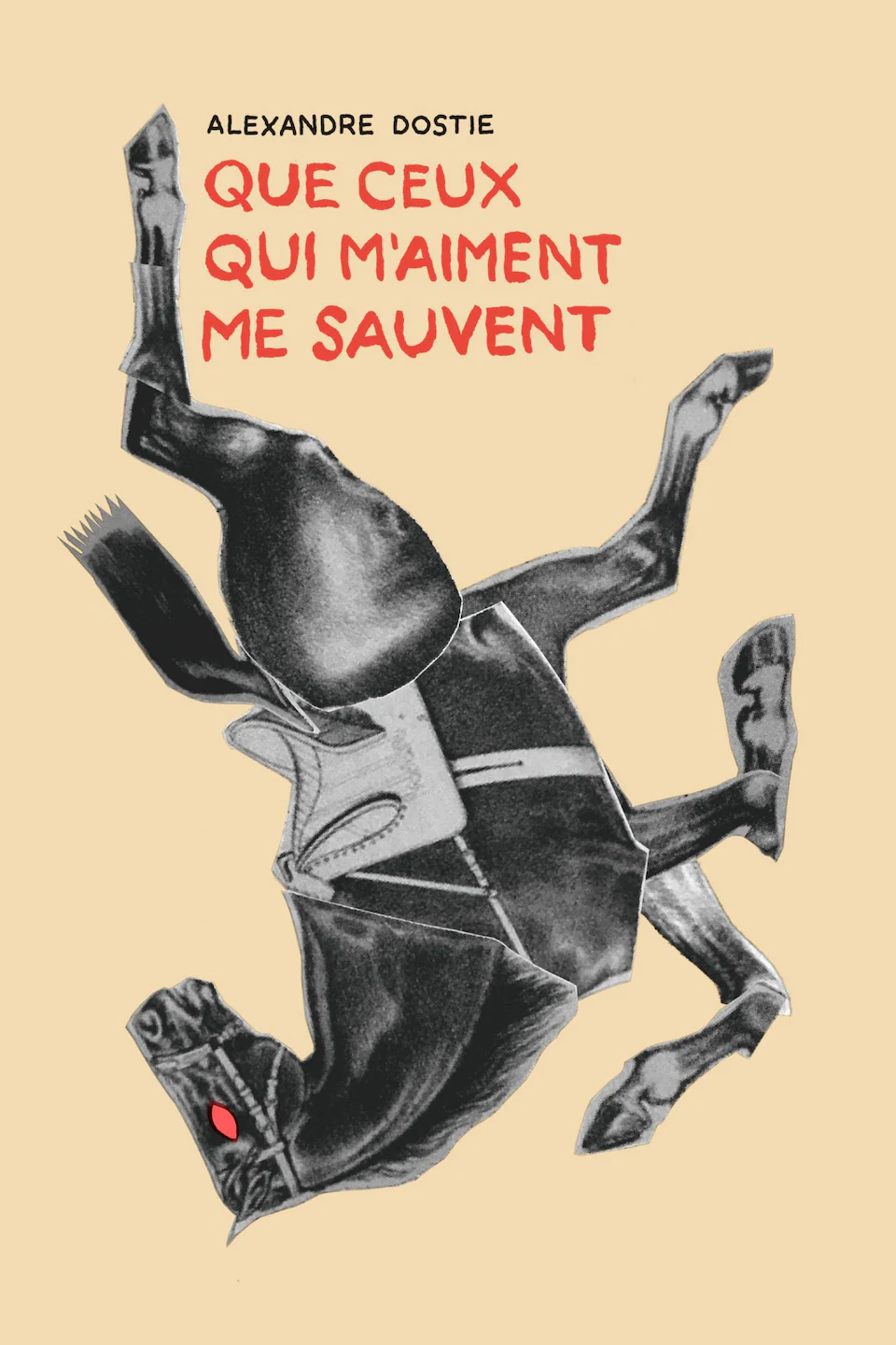 Couvertue de livre montrant une illustration de cheval qui tombe