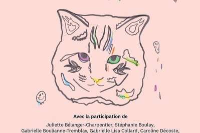 Stresse pas, minou ! | L’anxiété, à cœur ouvert (7/10)