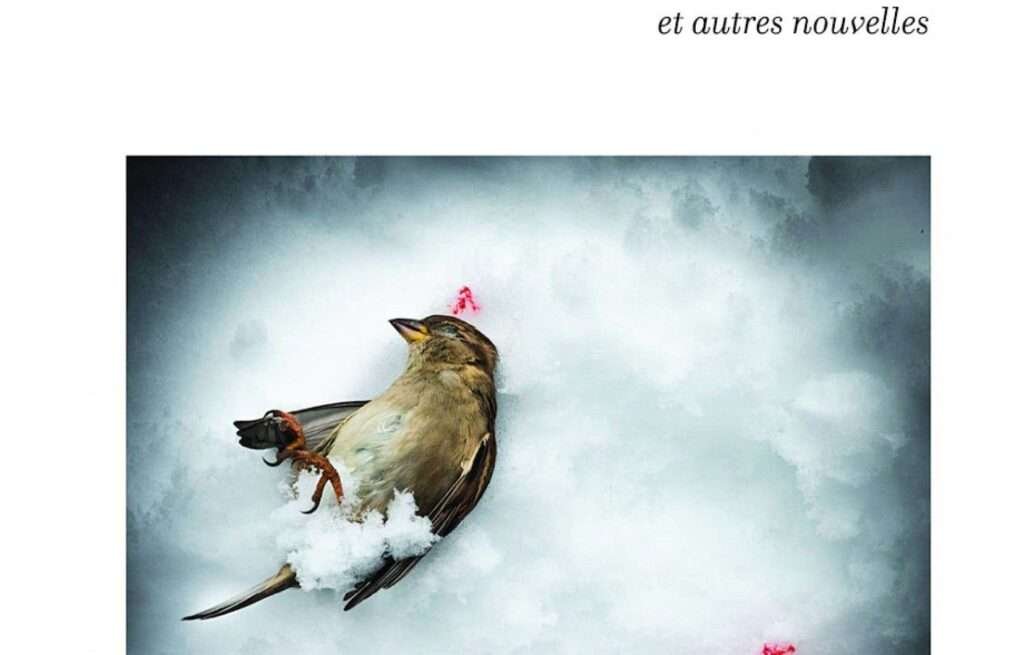 «Bordel de vie et autres nouvelles», Serge Labrosse