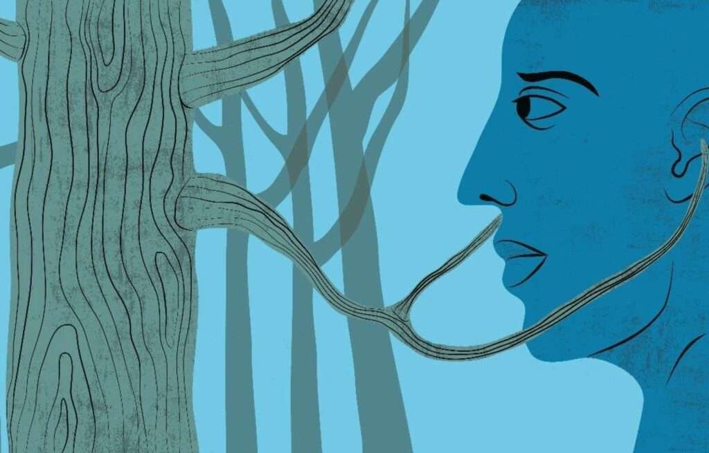«Le Devoir d’histoire»: la rencontre des mondes