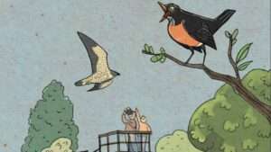 Un livre jeunesse sur la migration des oiseaux