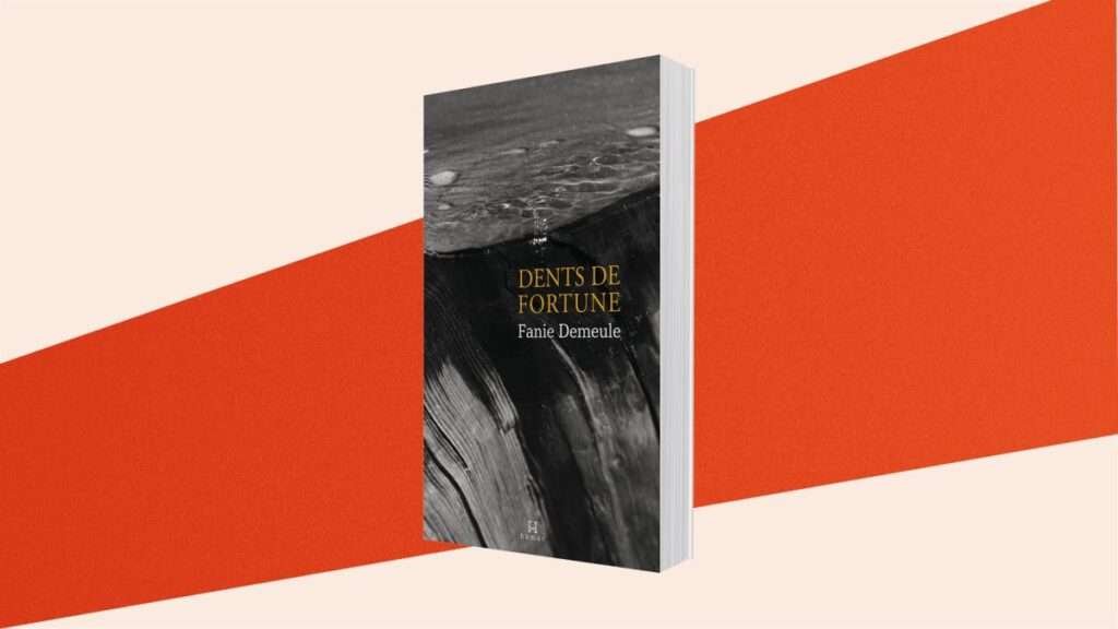 Le roman du mois : Dents de fortune, de Fanie Demeule Le roman du mois : Dents de fortune, de Fanie Demeule