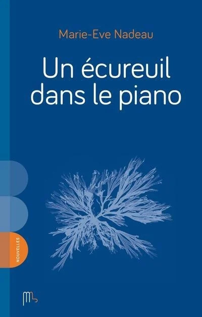 Un écureuil dans le piano