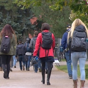 Étudiants de dos marchant sur un trottoir en ciment. Feuilles aux arbres. Archives.