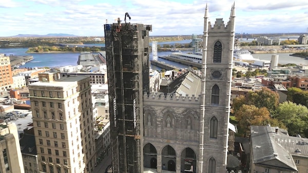 la Basilique Notre-Dame à Montréal.