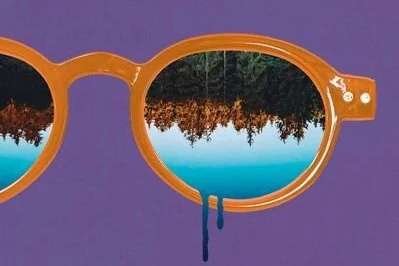 Critique de L’iris de Boisjoli   | Étés abitibiens