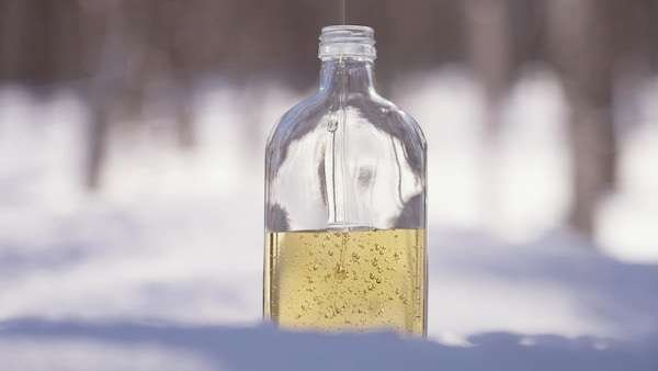 Une bouteille de verre contient du concentré d'eau d'érable.