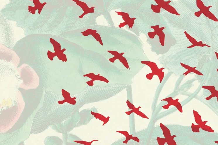 Fraîchement arrivés chez le libraire | Des nouveautés qui retiennent l'attention