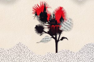 Lectures d’été | Cinq polars pour s’évader