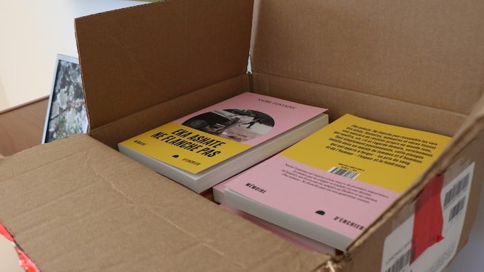 Dans la bibliothèque de Naomi Fontaine : la recherche du regard unique