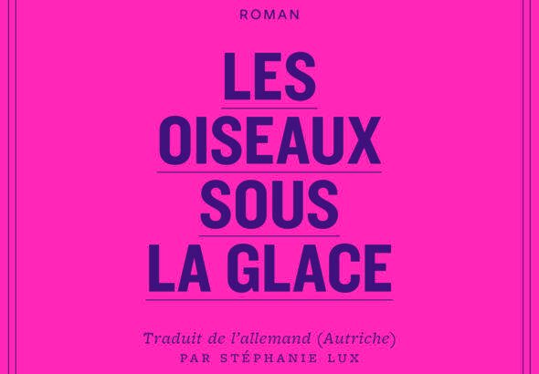 Les oiseaux sous la glace | Sous la glace, la tempête