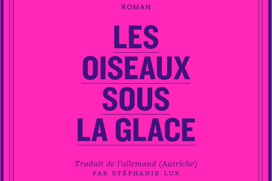 Les oiseaux sous la glace | Sous la glace, la tempête