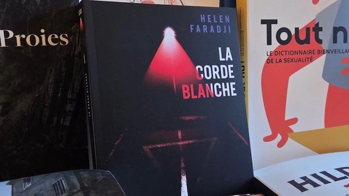 Photo montrant une couverture de livre policier.