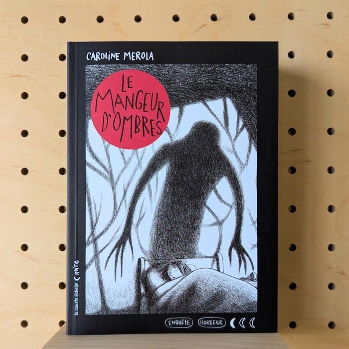 Couverture de livre en noir et blanc montrant une ombre.