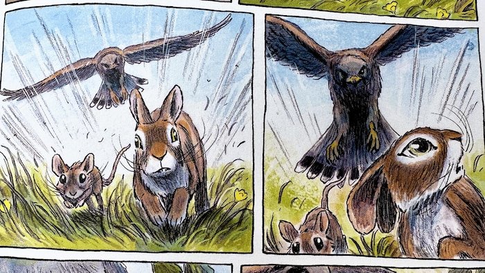 Gros plan d'une page de la bande dessinée «Watership Down» de James Sturm et Joe Sutphin.